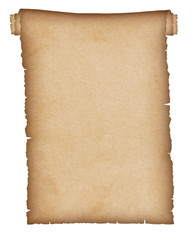 Wall Mural - antique paper scroll 5