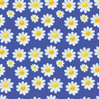 © LukaJreym - daisies wildflowers watercolor pattern set illustration seamless