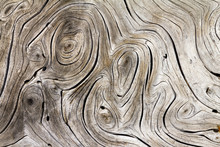 Natural Tree Wood Background Swirl Pattern Texture