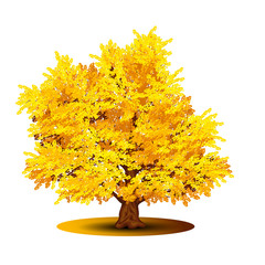 Wall Mural - detached tree with yellow leaves