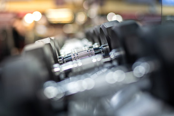 Wall Mural - Dumbbells on a rack in a gym for a workout.