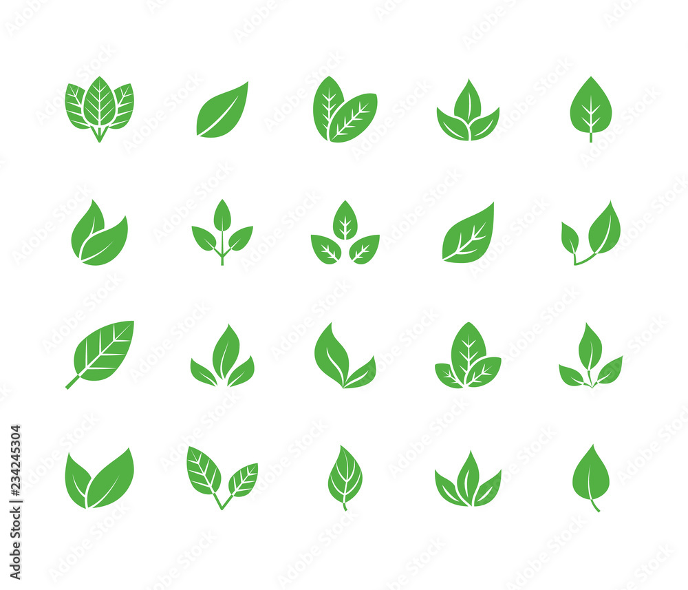 Leaf flat glyph icons. Plant, tree leaves illustrations. Signs of organic food, natural material, bio ingredient, eco emblem. Solid silhouette pixel perfect 64x64. - obrazy, fototapety, plakaty 