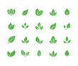 Leaf flat glyph icons. Plant, tree leaves illustrations. Signs of organic food, natural material, bio ingredient, eco emblem. Solid silhouette pixel perfect 64x64.