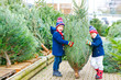 © Irina Schmidt - two little kid boys buying christmas tree in outdoor shop
