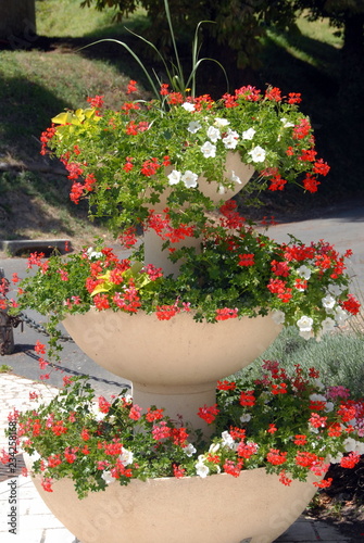 Vasques Fleurie De Fleurs Rouges Et Blanches Jardiniere Ville De Saint Aignan Sur Cher Departement Du Loir Et Cher France Stock Photo Adobe Stock