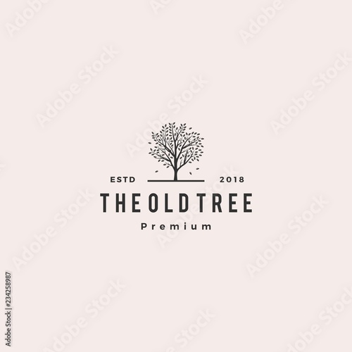 Fotomural tree logo retro hipster vintage logo label