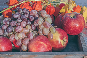 Beautiful ripe bunch of grapes and red apples on the grass in a wooden box. The concept of harvest