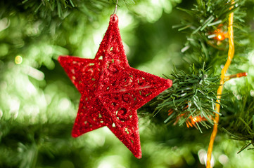 Red christmas star on tree