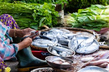 Wall Mural - Street Vendor in Hue, Vietnam traditional fish market people selling fresh fish on the sidewalk.