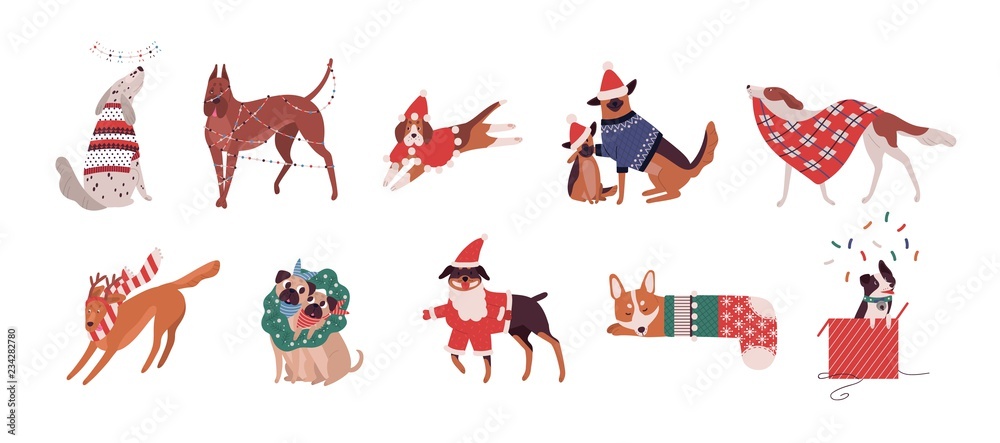 Bundle of cute dogs of different breeds dressed in Christmas costumes ...