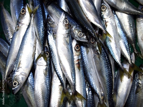 Valokuva Fresh round scad in containers at a wet market