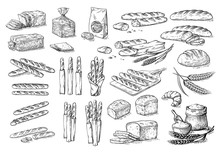 Collection Of Natural Elements Of Bread And Flour Sketch Vector Illustration