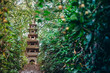Five-story stone pagoda standing on the top of hill among green trees in japanese garden. Traditional japan exterior design, outdoor decor. Relax and mind calm concept. Selective focus. Copy space.