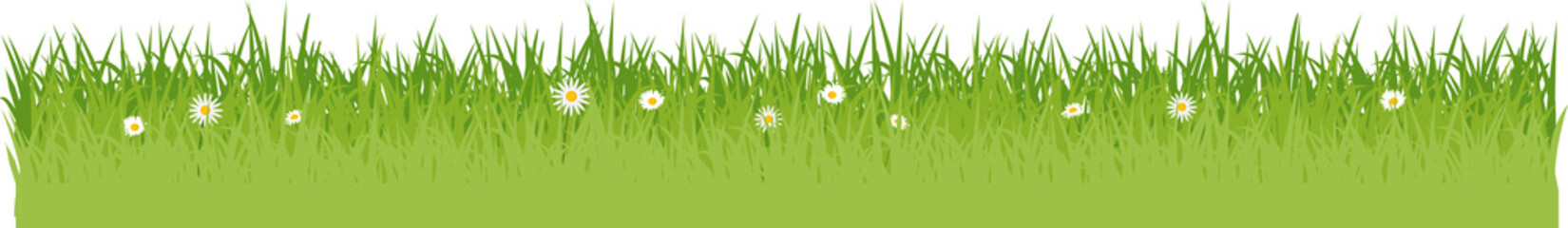 Wall Mural - grüne Wiese mit Blumen Gras Flat Design isoliert auf weißem Hintergrund