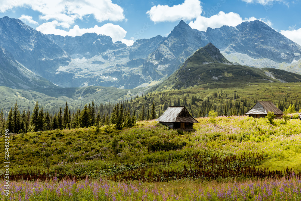 Obraz na płótnie Hala Gasienicowa, Tatra mountains Zakopane Poland w salonie