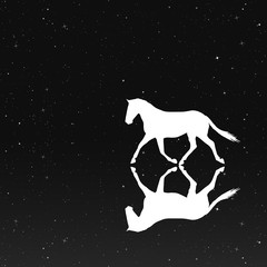 Sticker - Running horse in park at night. Vector illustration with silhouette of beautiful running animal reflected in water under starry sky. Inverted black and white
