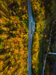 Wall Mural - Asphalt road trough forest in fall, top down aerial from above