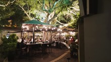 Outdoor Cafe Under The Tree, Tel Aviv, Israel.