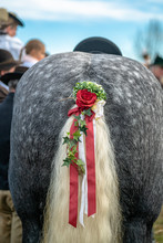 Decorated Horse Tail Ready To Perform At Leonhardi Parade