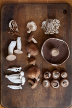 An Assortment Of Mushrooms