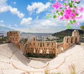 Fototapete - view of Herodes Atticus amphitheater of Acropolis with flowers, Athens, Greece