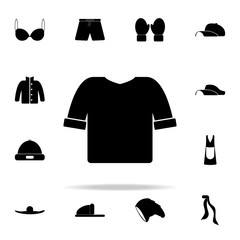 Poster - T-shirt icon. Clothes icons universal set for web and mobile