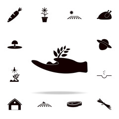 Poster - hand holds a plant germ icon. Farm icons universal set for web and mobile