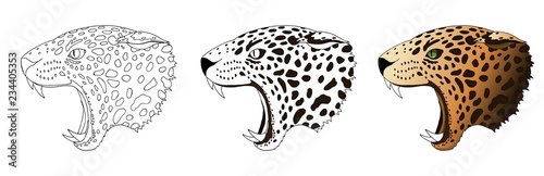 Vector angry leopard portrait Poster Mural XXL