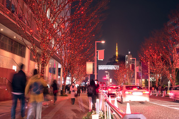 Illuminated Roppongi Keyakizaka Street and Tokyo Tower　六本木けやき坂イルミネーションと東京タワー