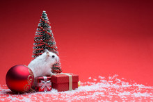Cute Hamster On Red Background With Christmas Tree And Gifts And Snow