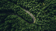© cicerocastro - Aerial view of car driving through the forest on country road, Madeira island.