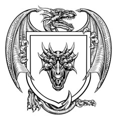 A dragon medieval heraldic coat of arms crest emblem shield.