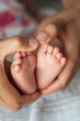 © Kristina89 - Close up of newborn baby feet. Baby's feet in the mother hands. Baby. Cozy. Love. Family.