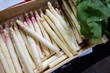 Fresh, young and crisp White Asparagus ready for sale in a box at local farmer market. Consider tasty and delicious vegetable, delicacy of Spring season. Grown underground and not exposed to light.