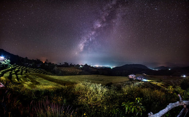 Wall Mural - the milky way galaxy on the rice field on the mountain.long exposure photograph, with grain.image co