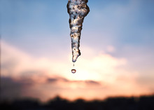 Big Long Icicle Against A Sunset Sky In The City. Close Up Melted Drop Of Water Falls From An Icicle