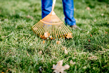 Man sweeping leaves with orange rake on the green lawn, close-up view with no face