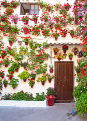 Wall Mural - Nice patio full of flowers in Cordoba, Spain