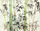 bright bamboo forest
