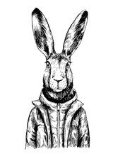Sketch Of Rabbit In Winter Jacket. Hand Drawn Vector Illustration