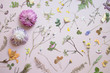 Various dried flowers and leaves on pastel background. Flat lay. .Minimal floral postcard.
