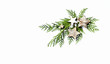 An arrangement of evergreen twigs and Christmas decorations. Flatlay. Copy space. White background