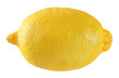 Lemon is a yellow one citrus fruit isolated on white background with clipping path.