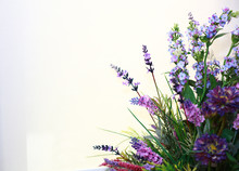 Beautiful Purple Flowers, Beautiful Dark Purple Iris Flower