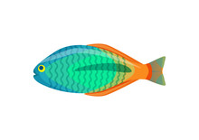 Rainbowfish Aquarium Fish Isolated On White Icon
