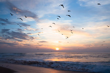 Beautiful Sunset Over The Sea With Flying Birds