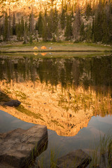 Wall Mural - Mountain Reflected in Surface of Lake