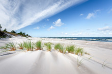 In The Dunes Of The Baltic See.