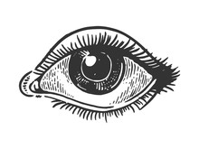 Human Eye Engraving Vector Illustration. Scratch Board Style Imitation. Black And White Hand Drawn Image.