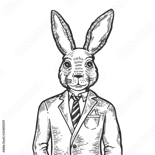 Fotografía Rabbit hare businessman engraving vector illustration
